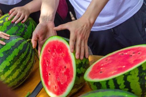 大学网课吃瓜,揭秘大学网课中的那些“吃瓜”瞬间